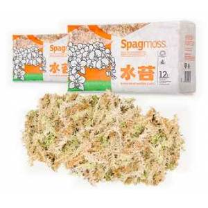 Sphagnum Moss Classic mech 100gr