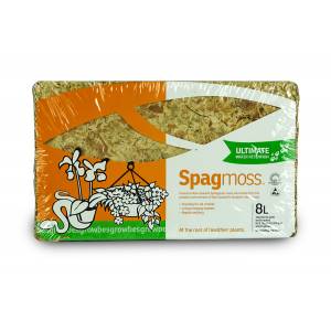 Sphagnum Moss Classic mech 100gr
